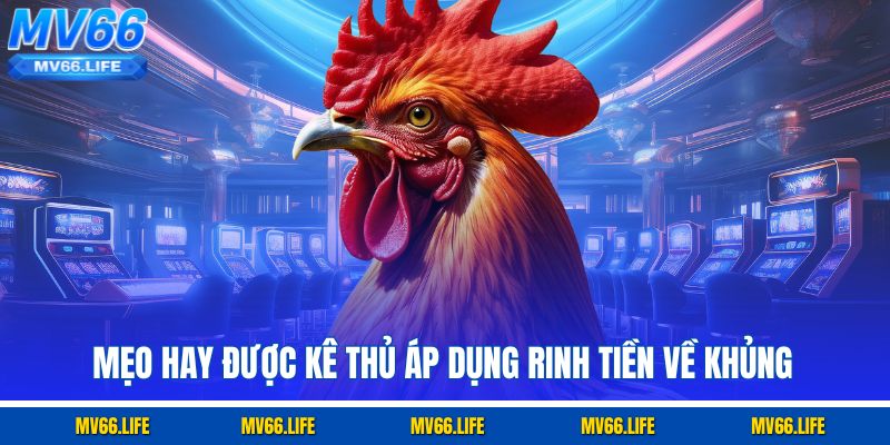 Mẹo hay được kê thủ áp dụng rinh tiền về khủng