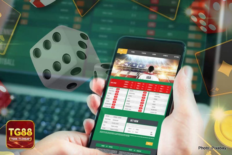 Xóc Đĩa TG88 - Quy trình một ván xóc đĩa diễn ra như thế nào?