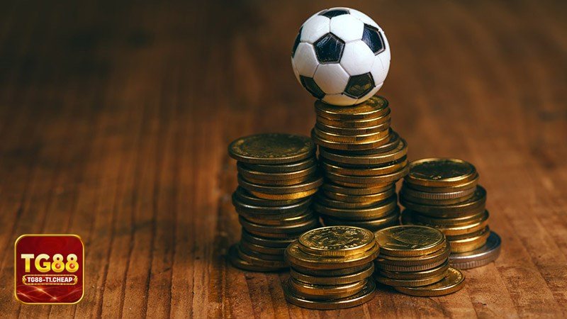 Saba Sports - Bóng chuyền Saba Sports - Bóng chuyền