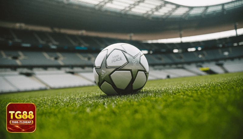 Saba Sports - Điểm nhấn về độ ổn định Saba Sports - Điểm nhấn về độ ổn định