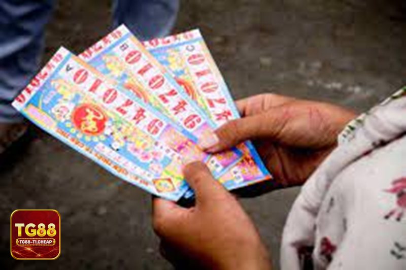 Xổ số TG88 - Tốc độ truy cập ổn định và thao tác mượt trong giờ cao điểm Xổ số TG88 - Tốc độ truy cập ổn định và thao tác mượt trong giờ cao điểm